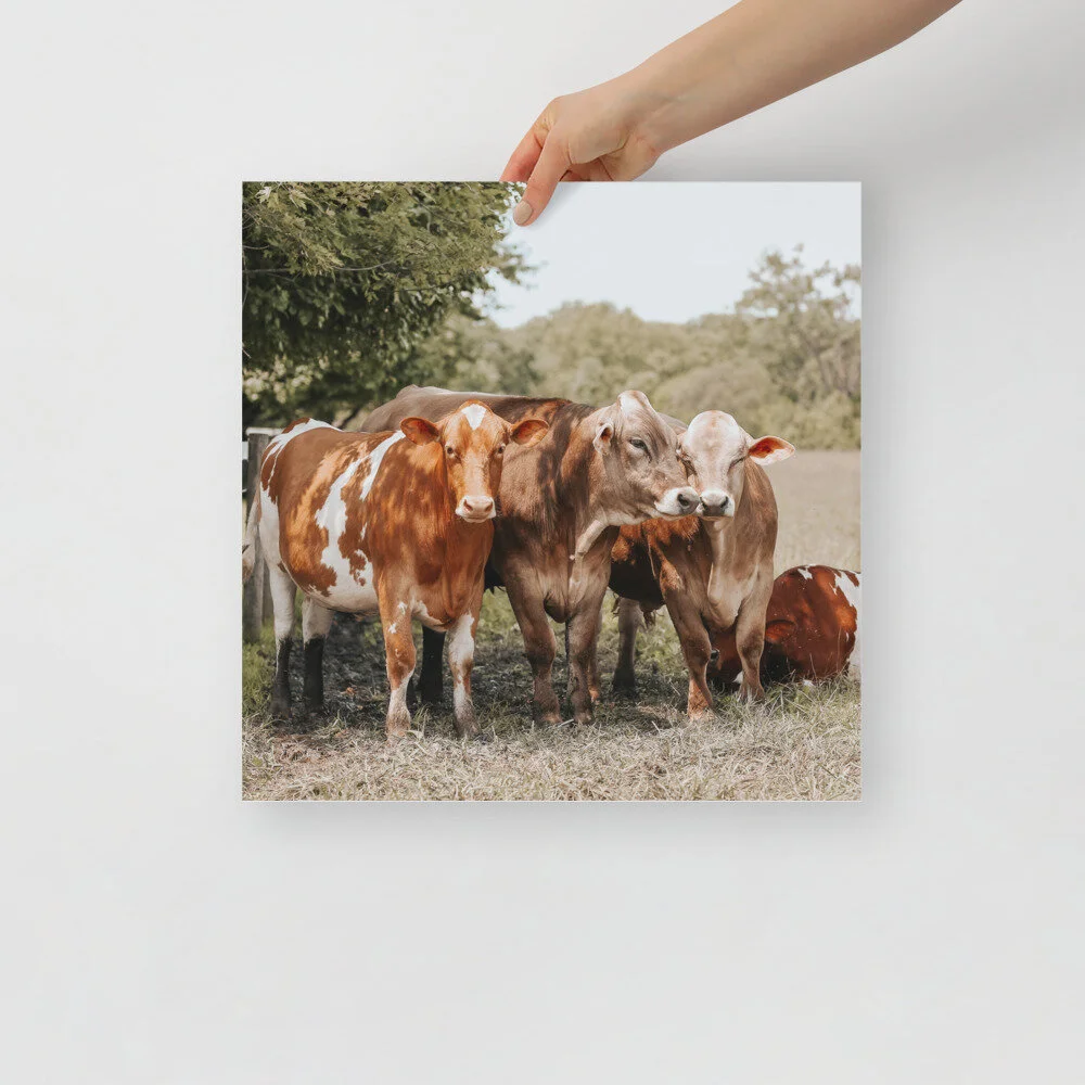 enhanced-matte-paper-poster-(in)-16x16-front-61007894f015d.jpg