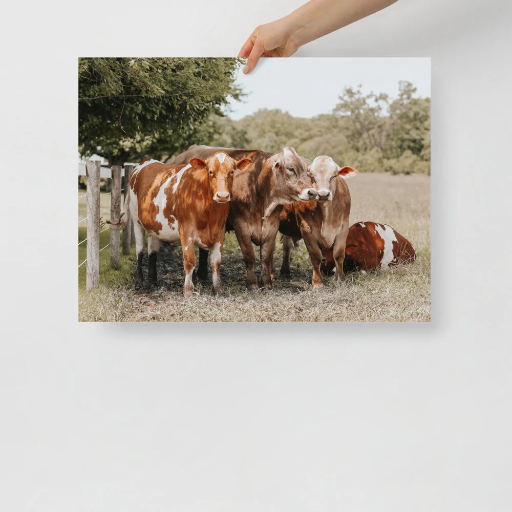 enhanced-matte-paper-poster-(in)-18x24-front-61007894f0322.jpg