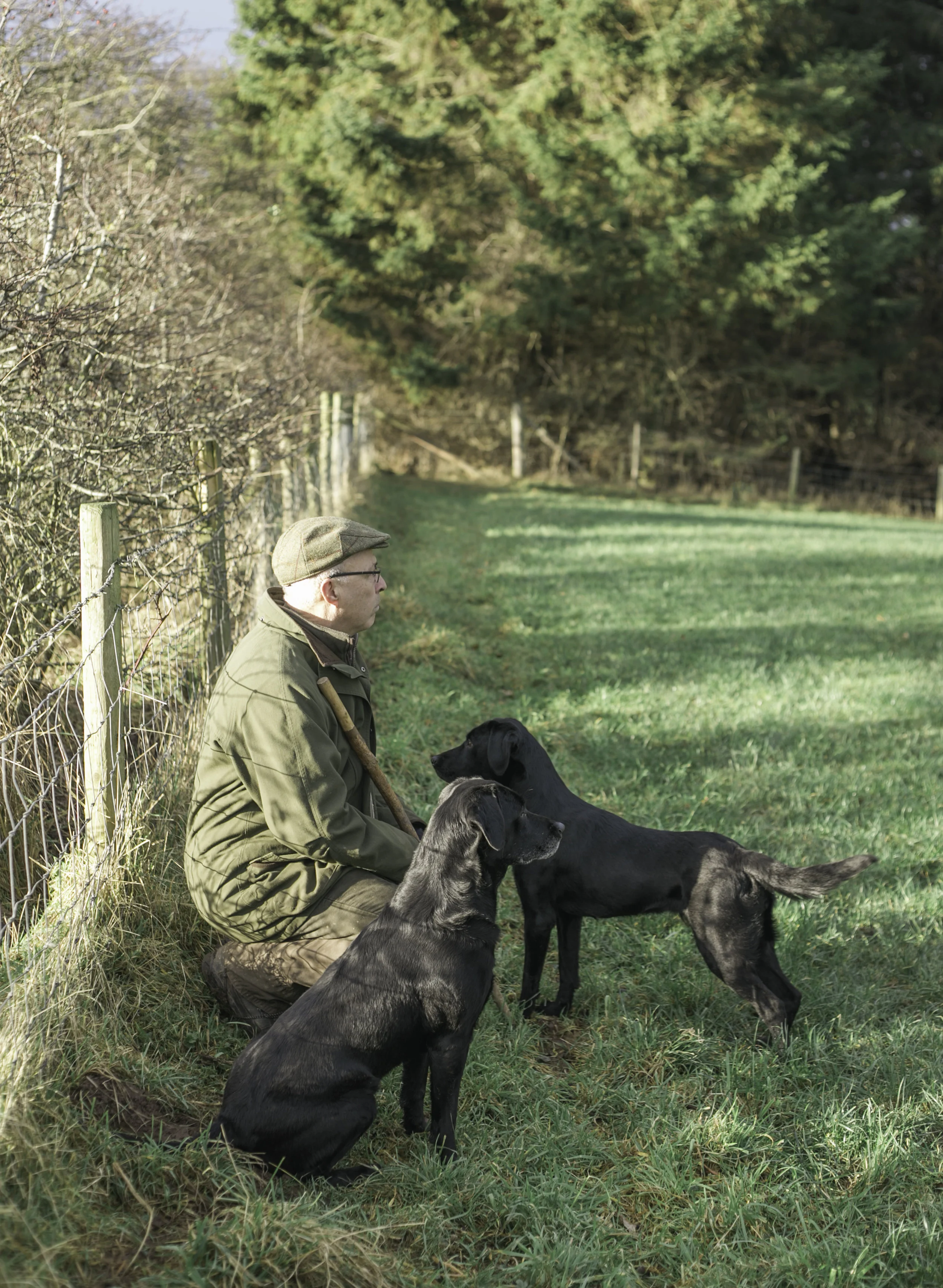 Pheasant_Shoot_15.JPG