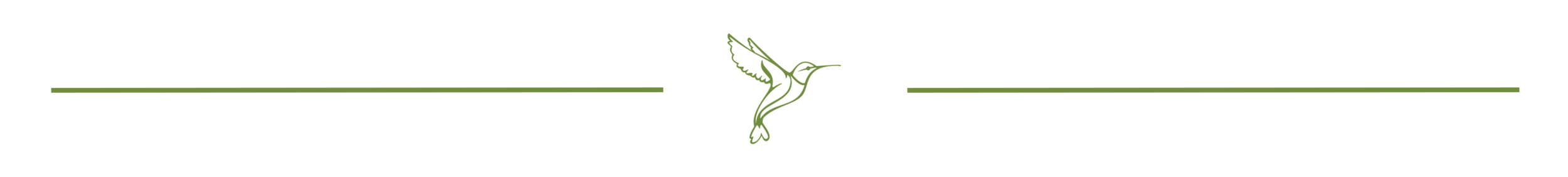 bird-line.png