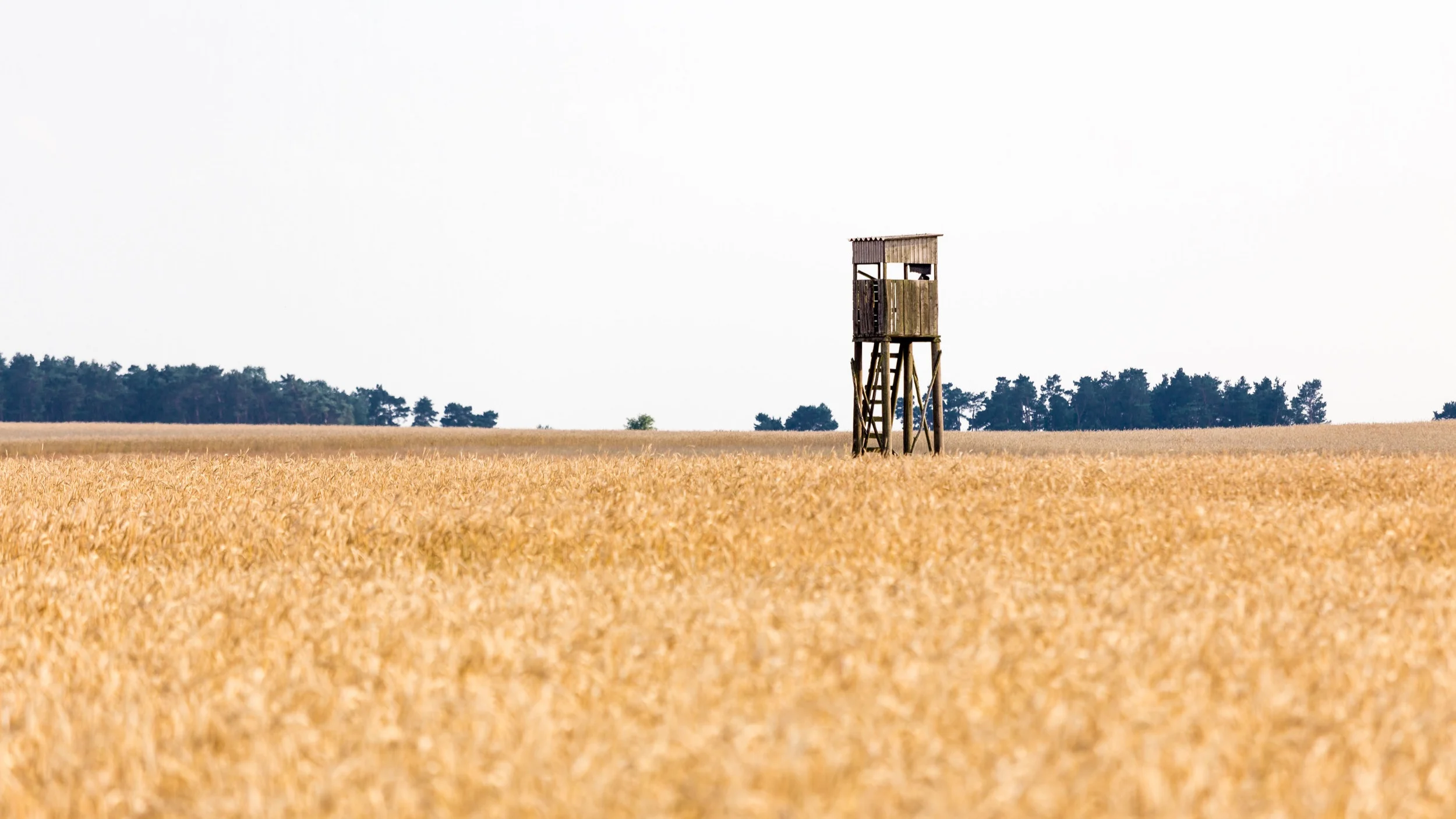 AdobeStock_87540504.jpg