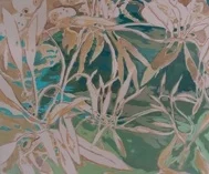 Pond Observation 2.jpg