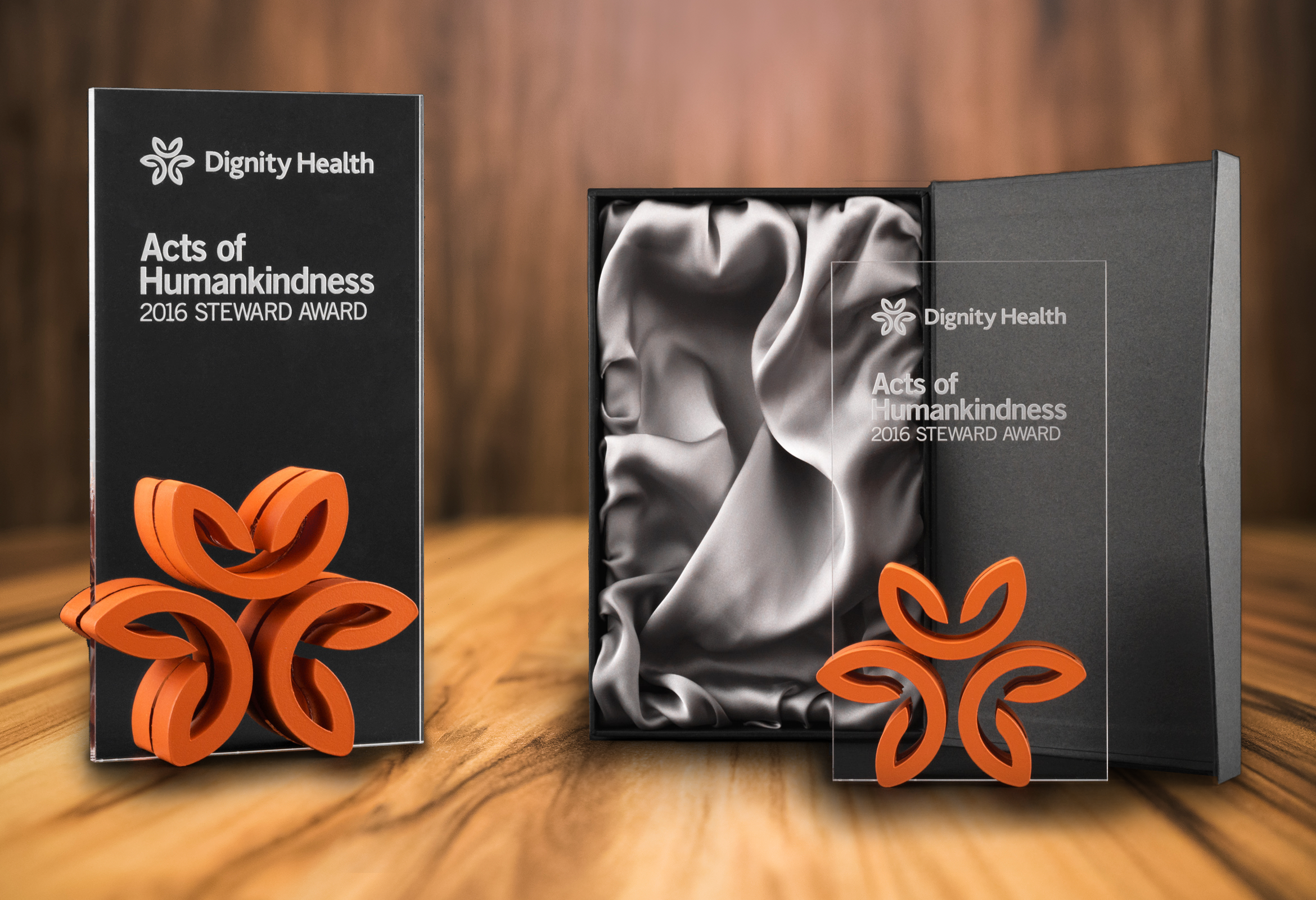 Dignity Health Award