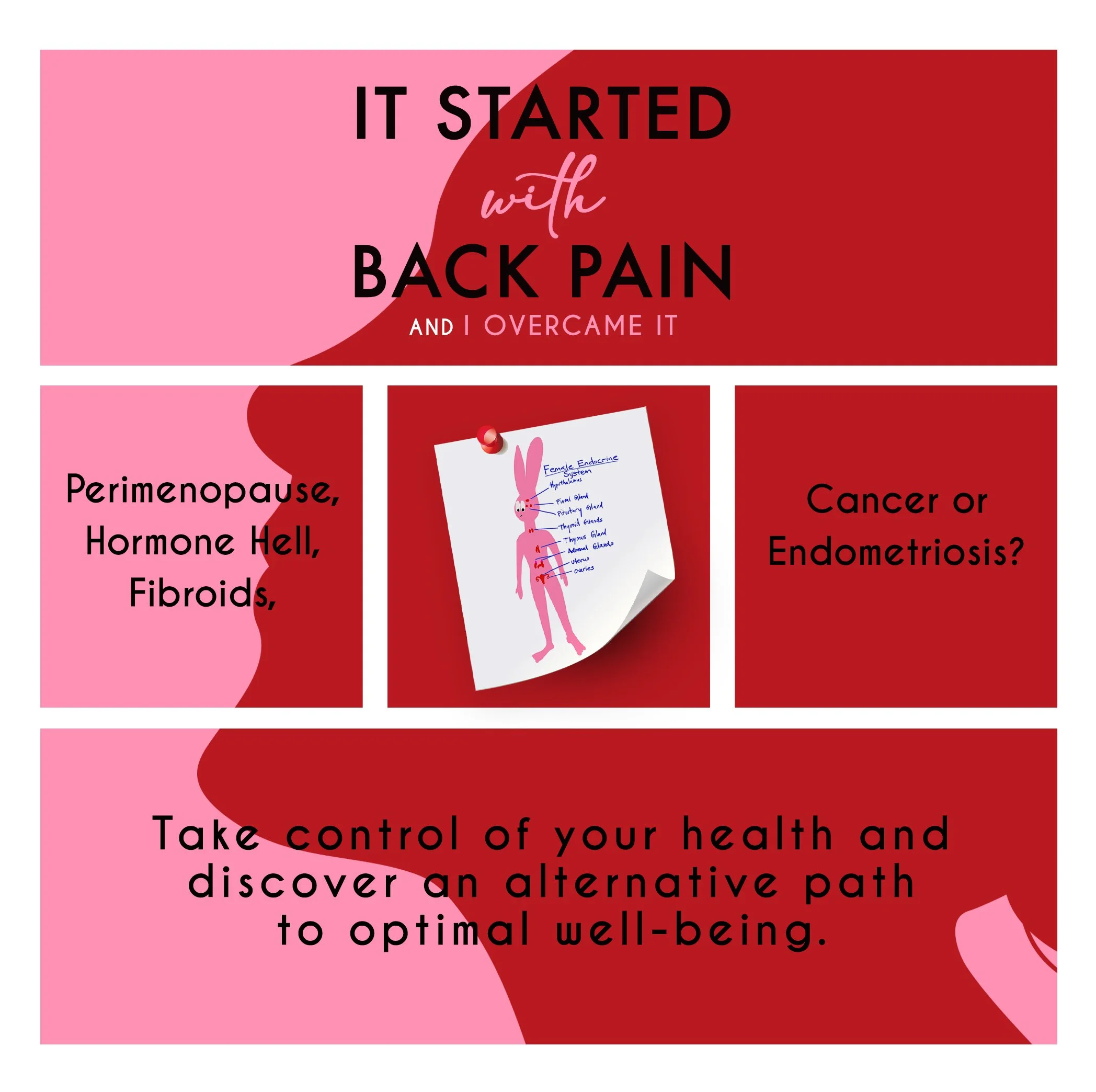 Paper Back - It Started with Back Pain, and I Overcame It. Perimenopause, Hormone Hell, Fibroids, Cancer or Endometriosis?