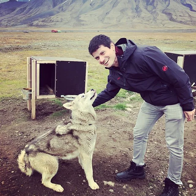 Loved the #arctic dogs!  Super friendly.