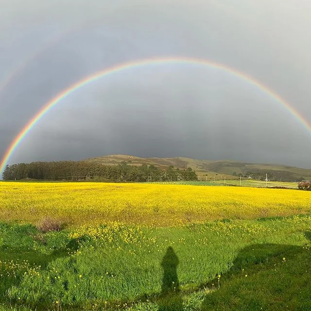 Double rainbow today 🌈 #rainbow #doublerainbow