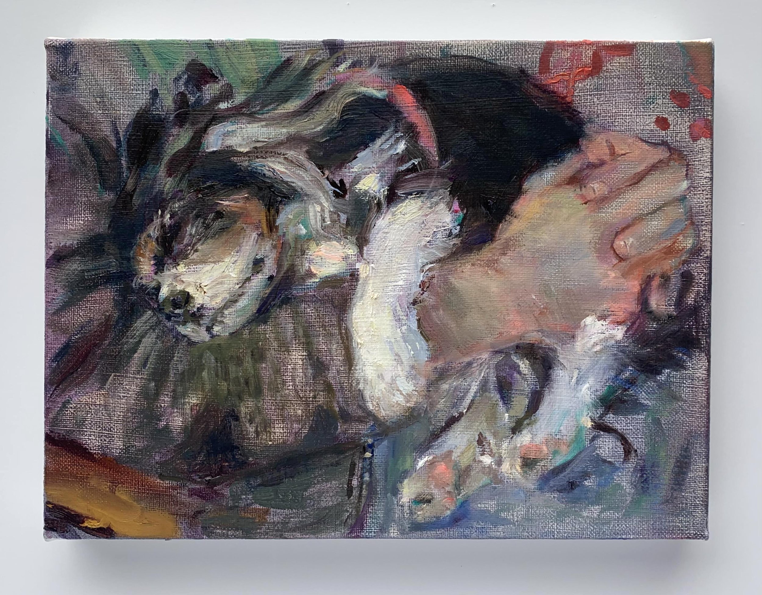  Hazel in your arms, 2021  Oil on linen  9 x 12 inches     