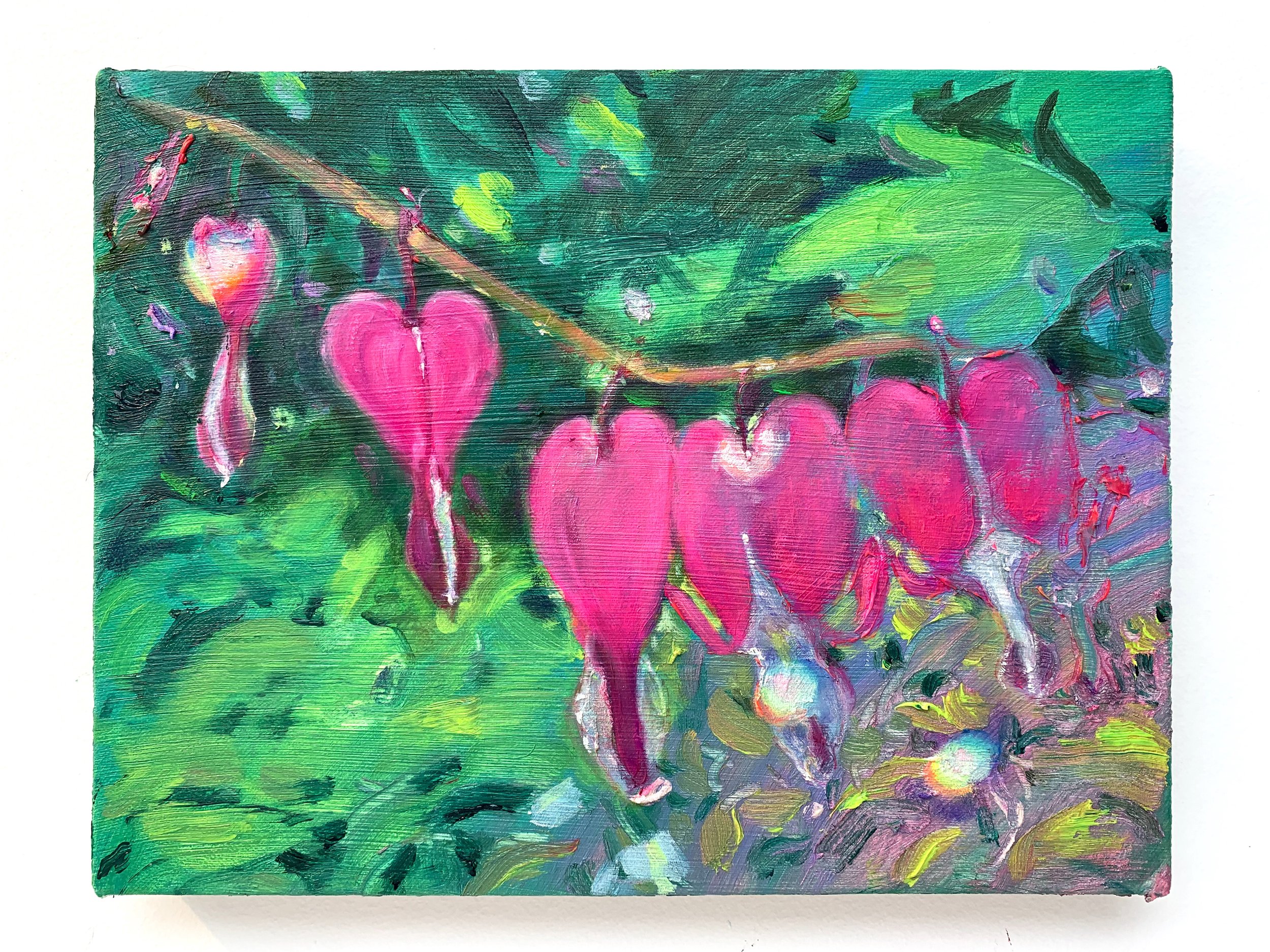   Bleeding Hearts,  2025  Oil on linen  9 × 12 inches 