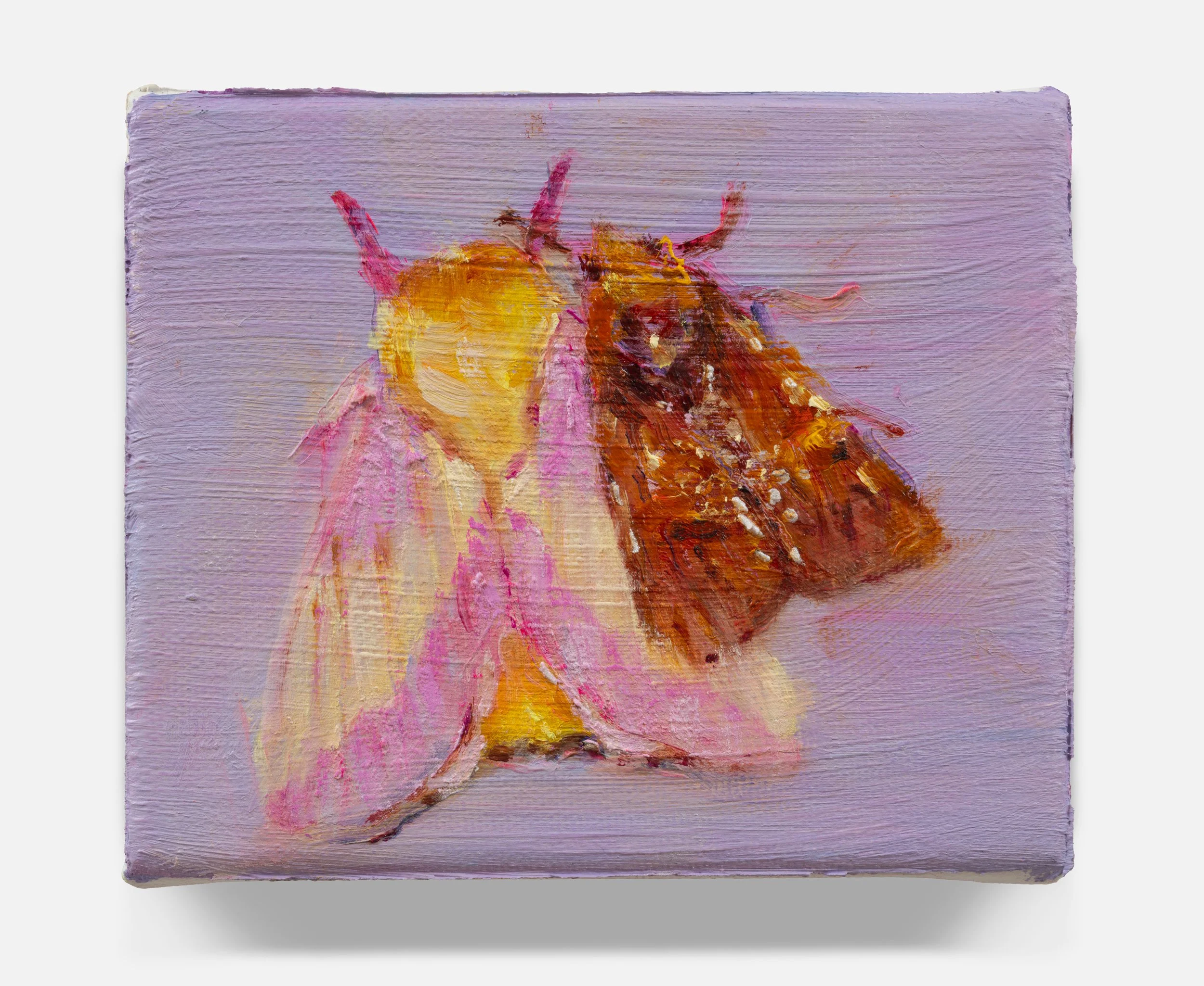 Us , 2025 Oil on linen 4 × 6 inches