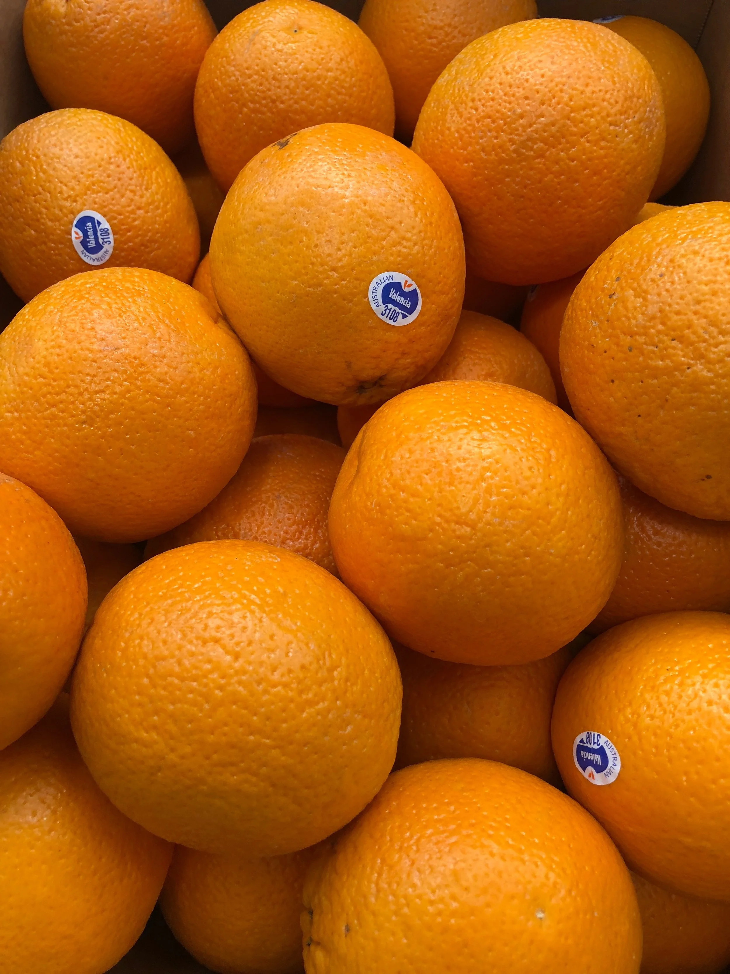 Navel Oranges
