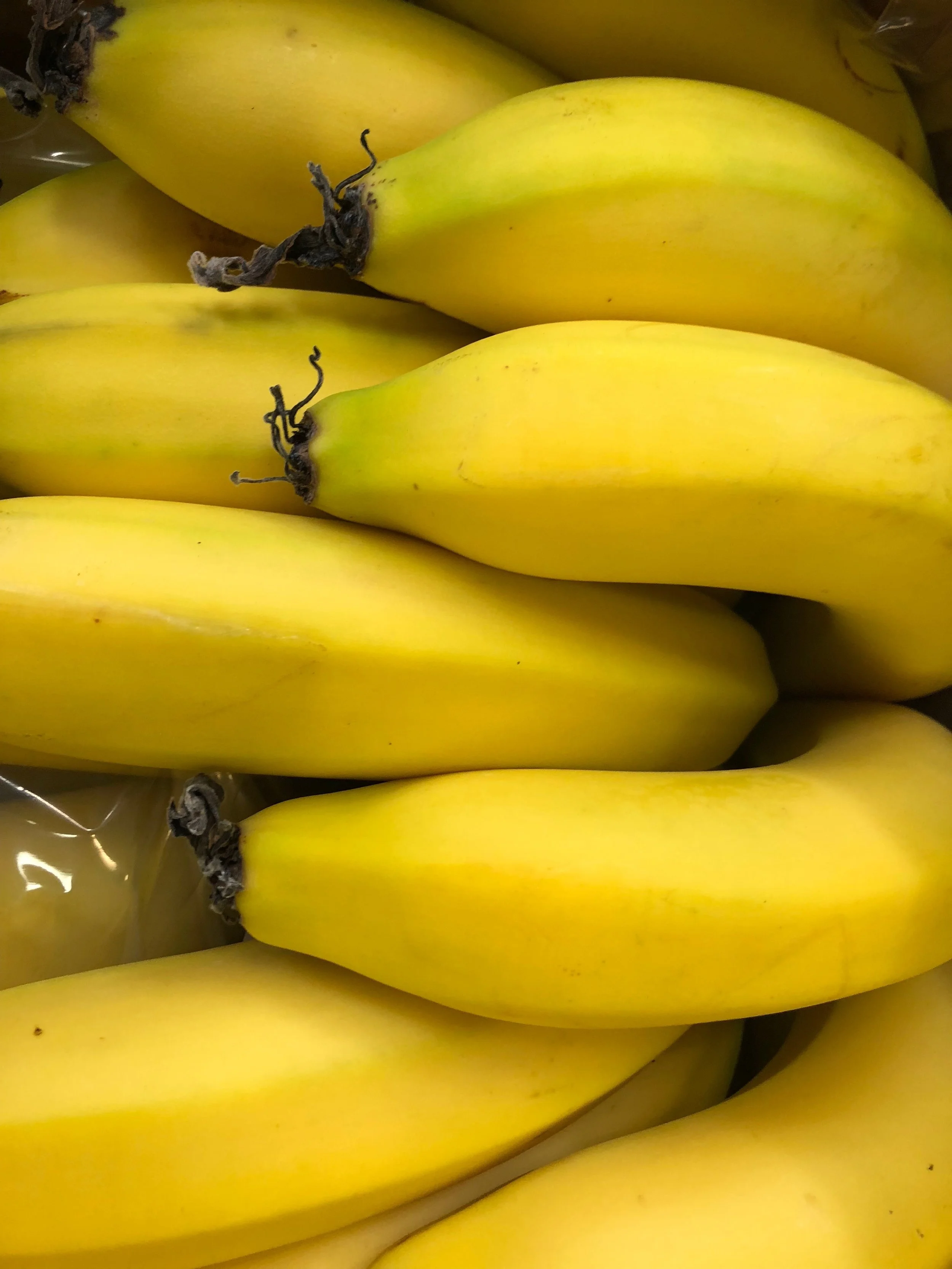 Cavendish Bananas