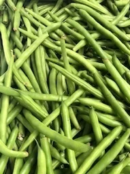 Handpicked Green Beans
