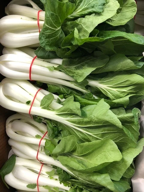 Bok Choy