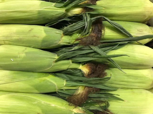 Corn Cobs