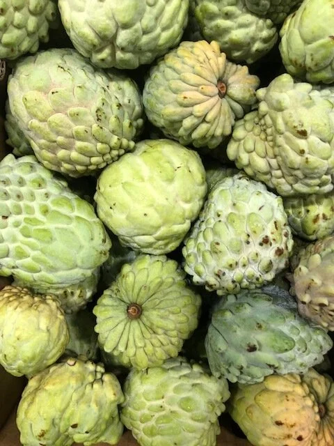 Custard Apples