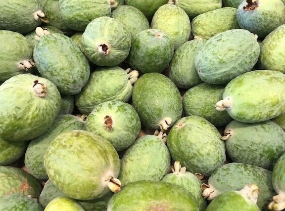 Feijoas - Australian