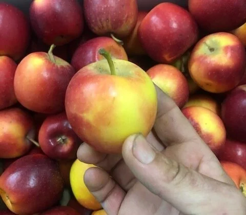 Mini Missile Apples