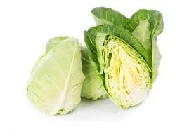 Sugarloaf Cabbage