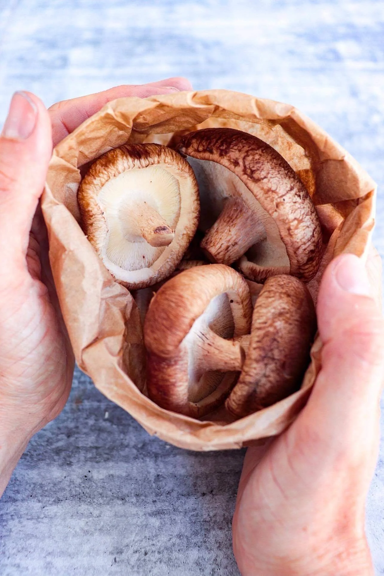 Fresh Shiitake Mushrooms 