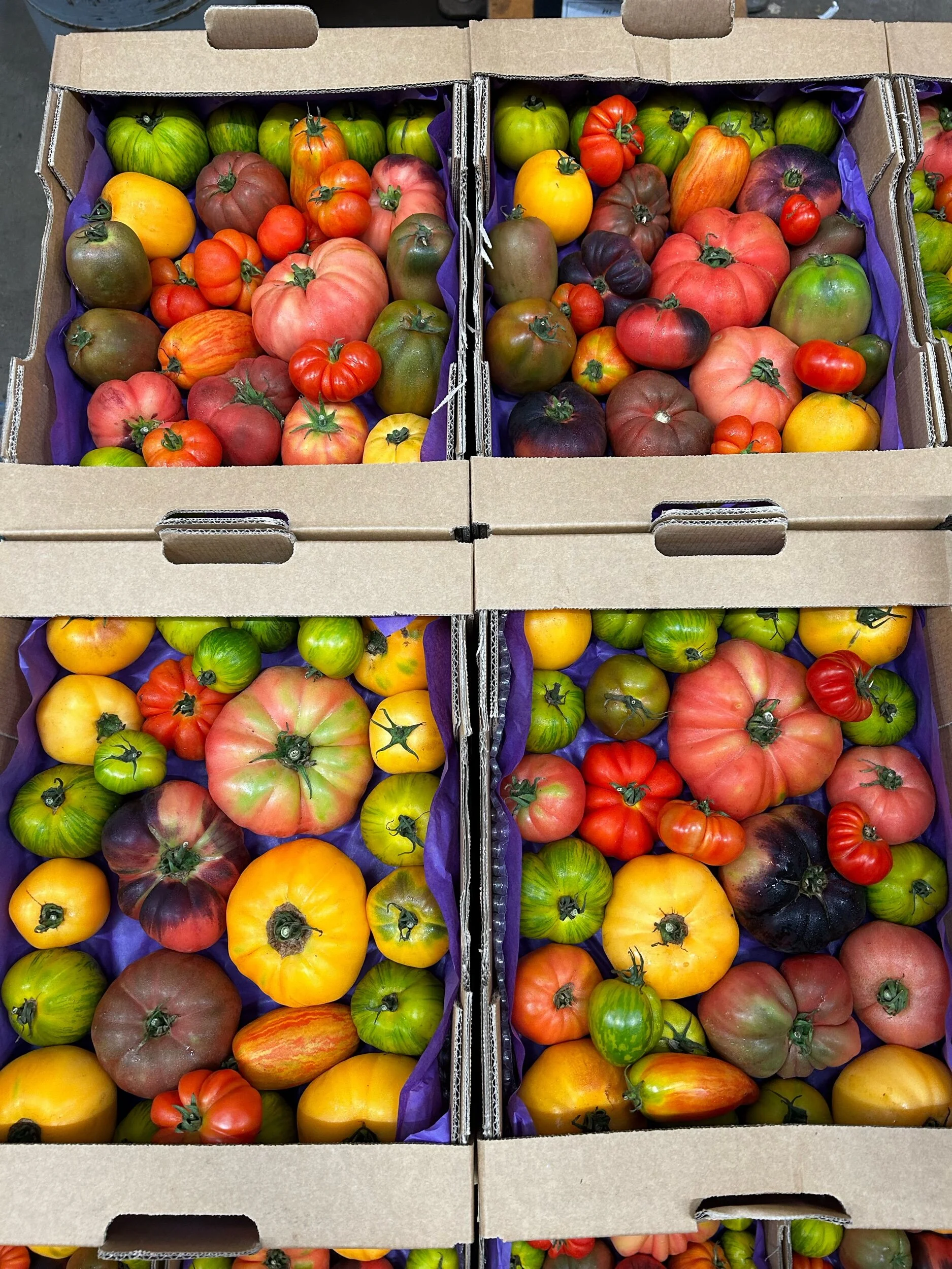 2310865F-725C-42FA-87AE-F70A477F89E0