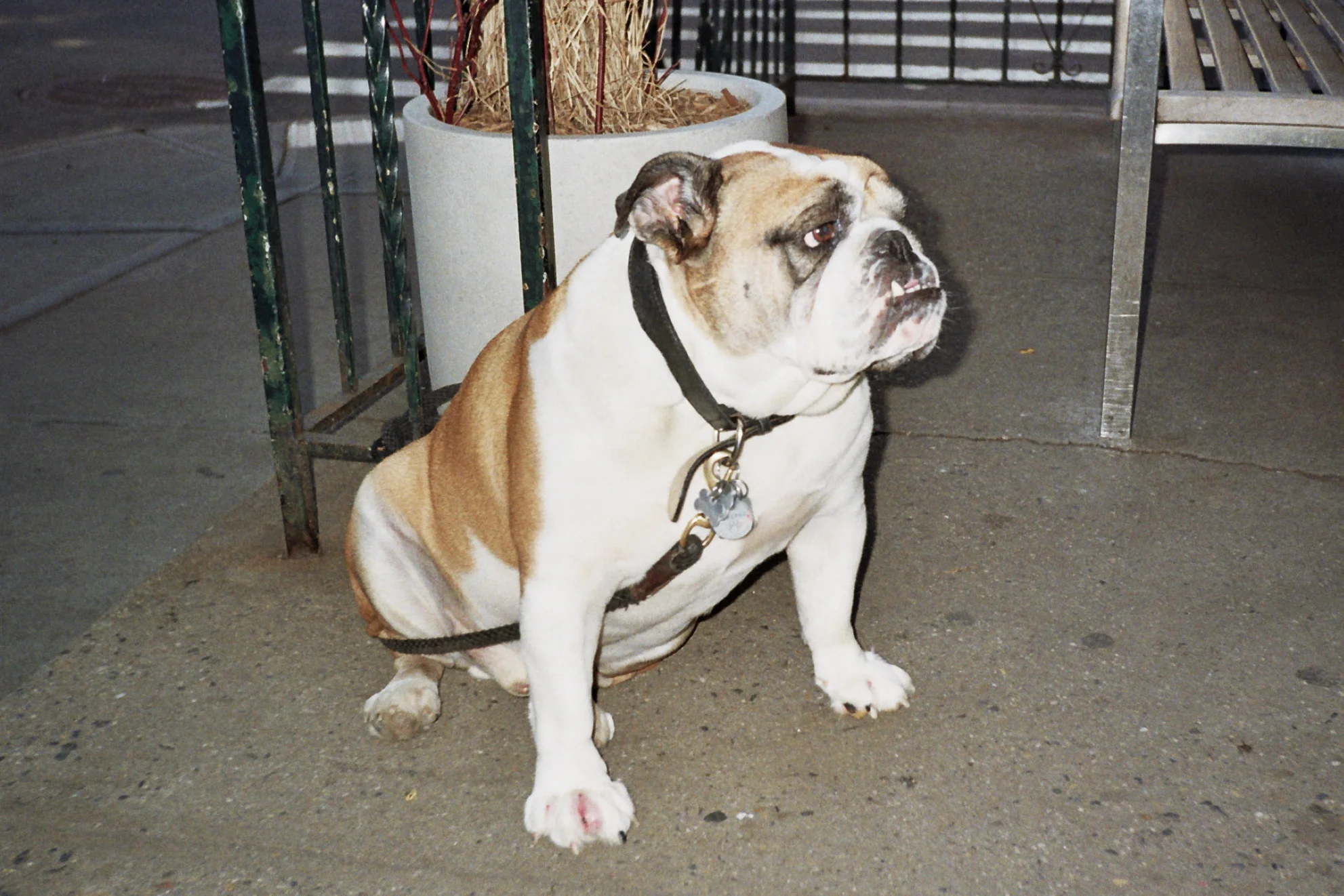 image1.jpg
