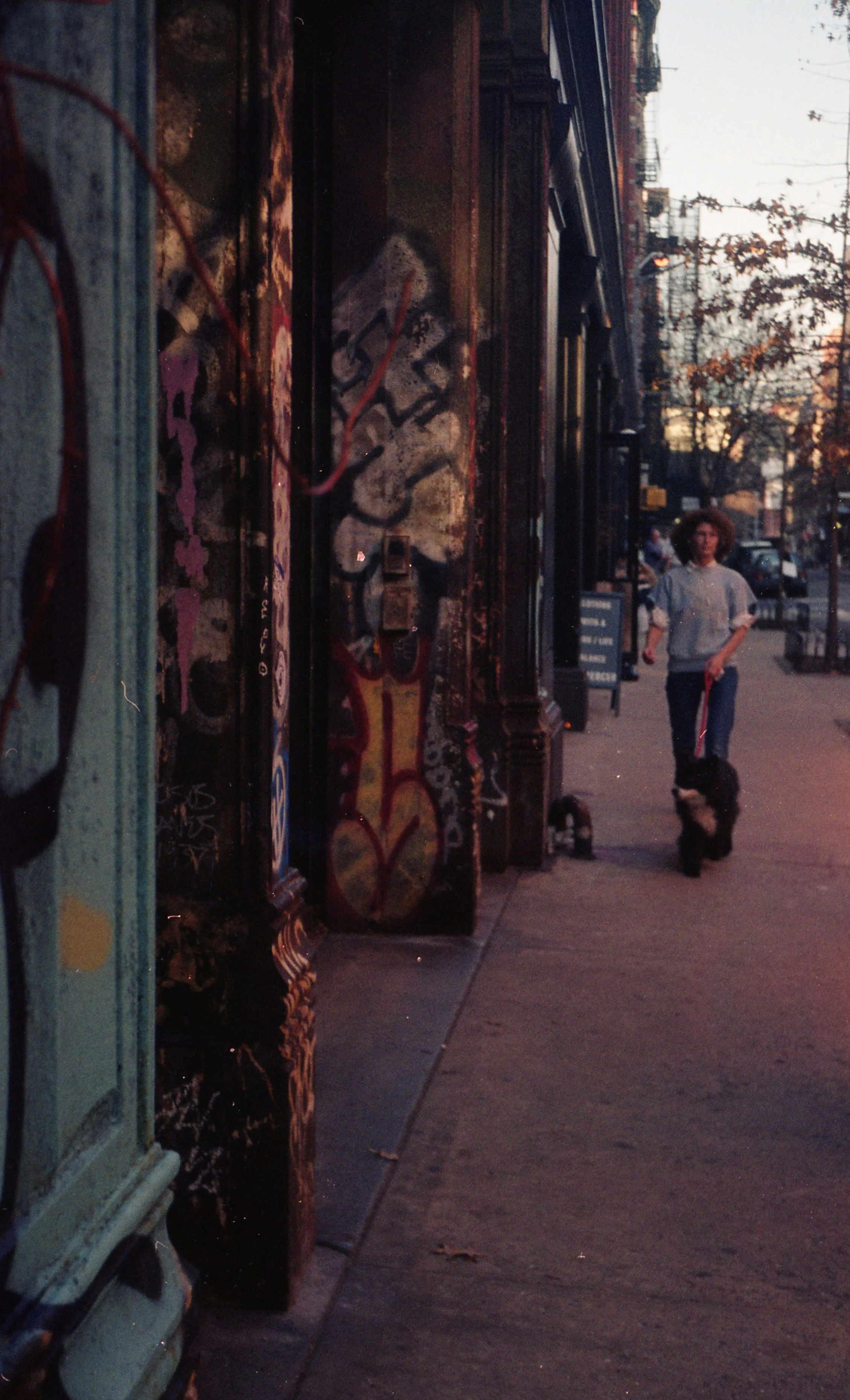 image14.jpg