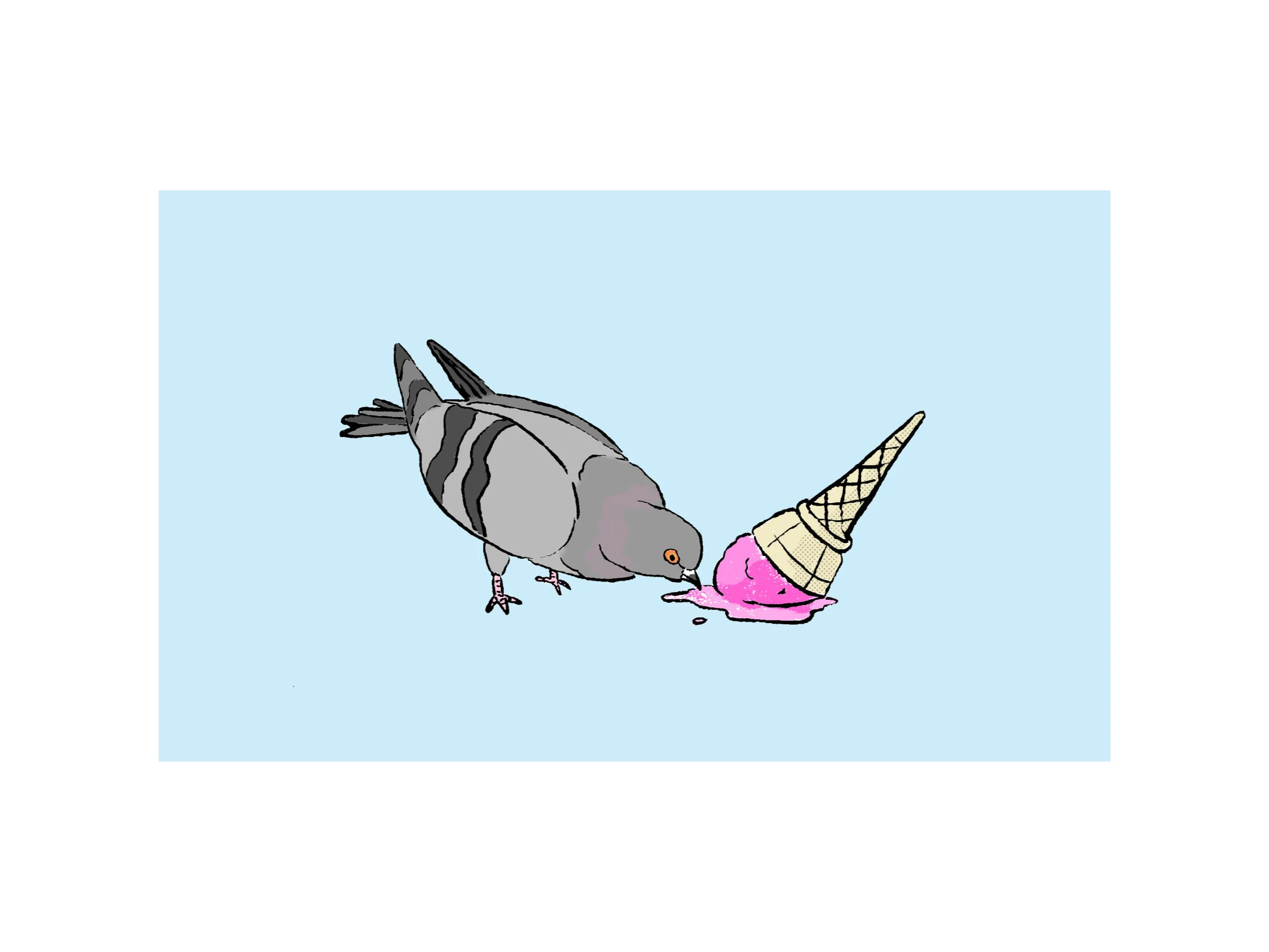 summer2020_pigeon.jpg