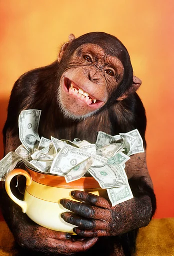Monkey-with-Money.jpg