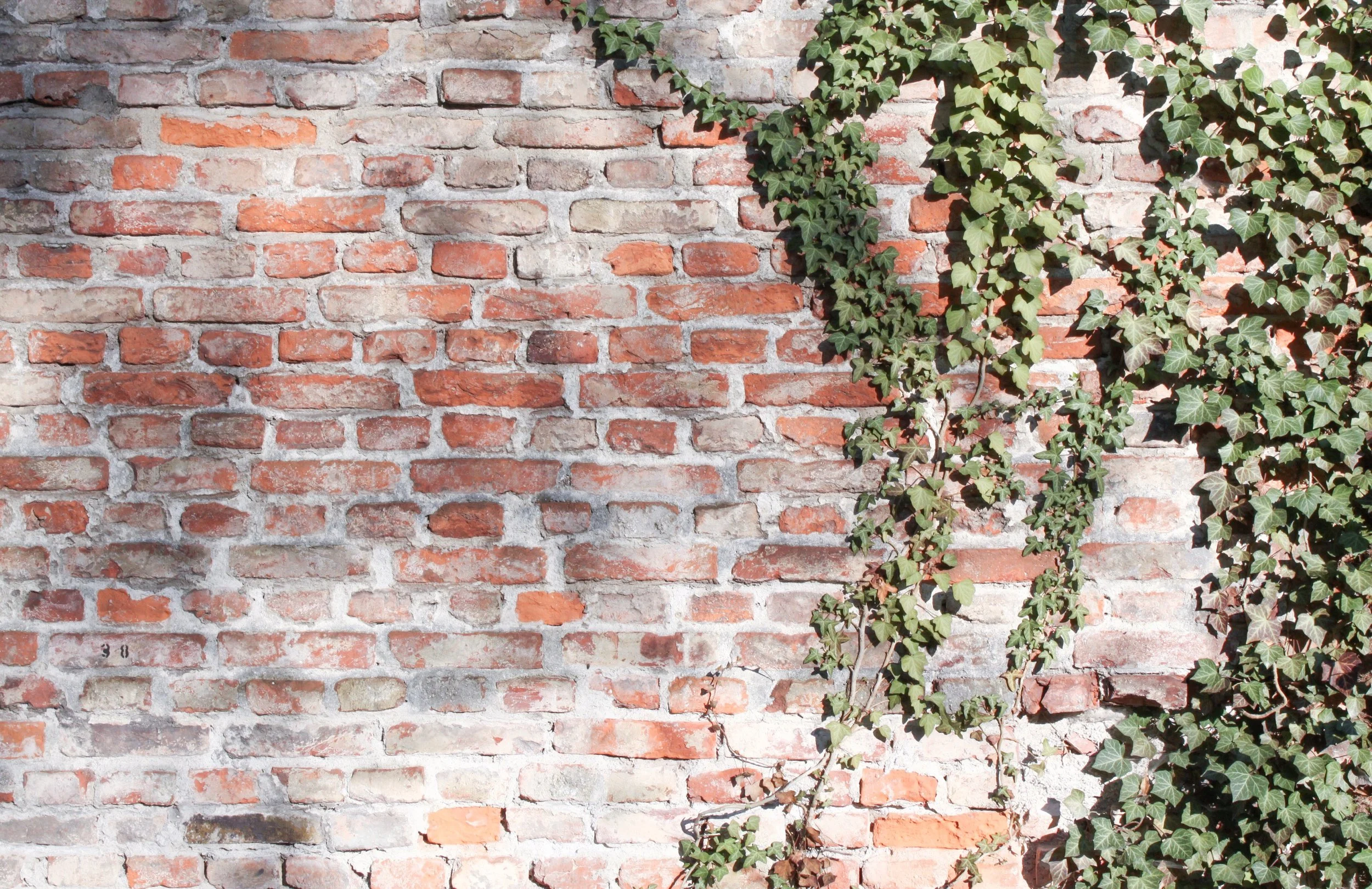 Overtaken By Gratitude 