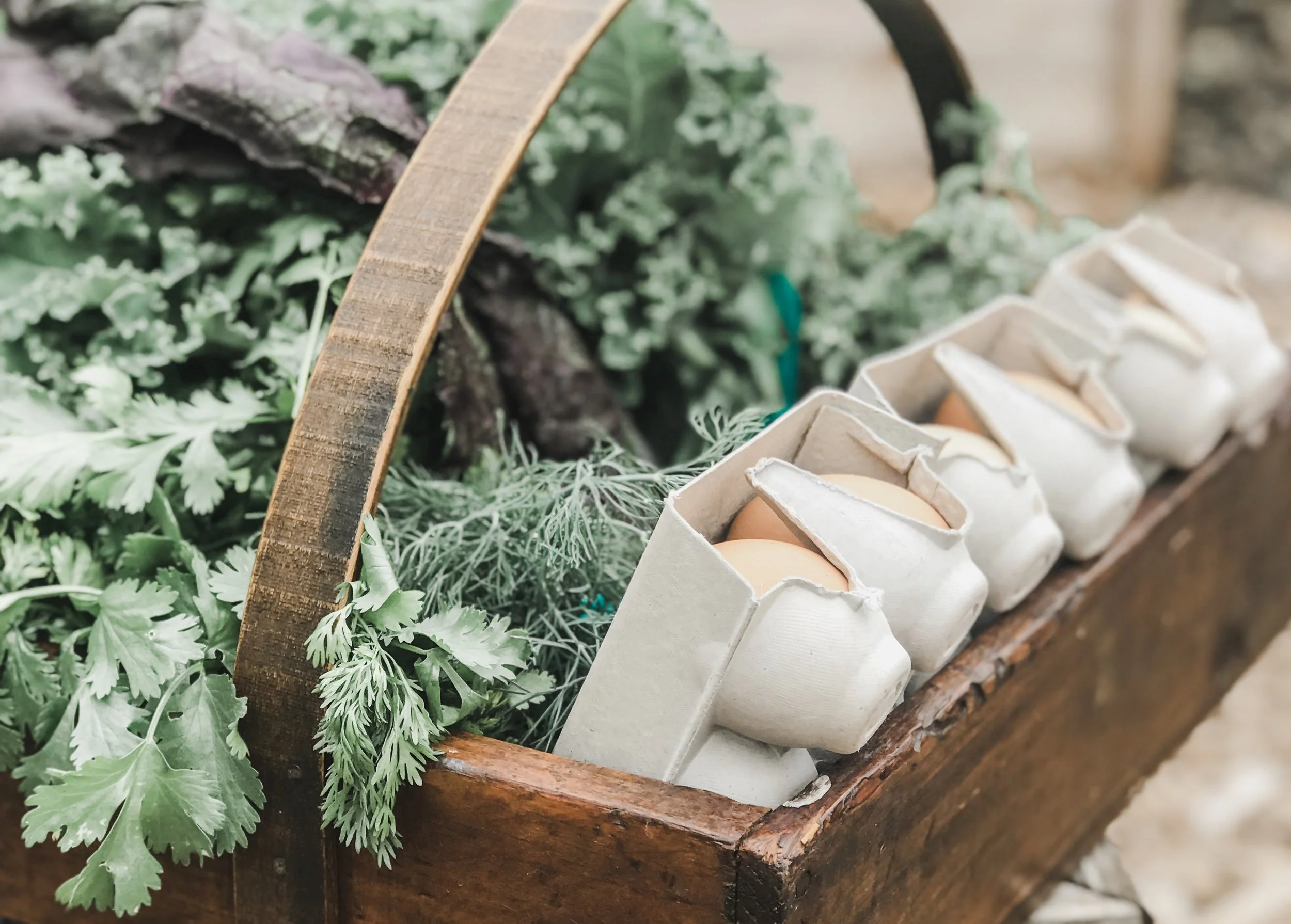 To meet our neighbors, Oliver and I gathered our excess of eggs, herbs and veggies from the garden, and walked around to see who might want some!