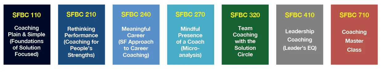 Certified Solution Focused Coach — Brief Academy