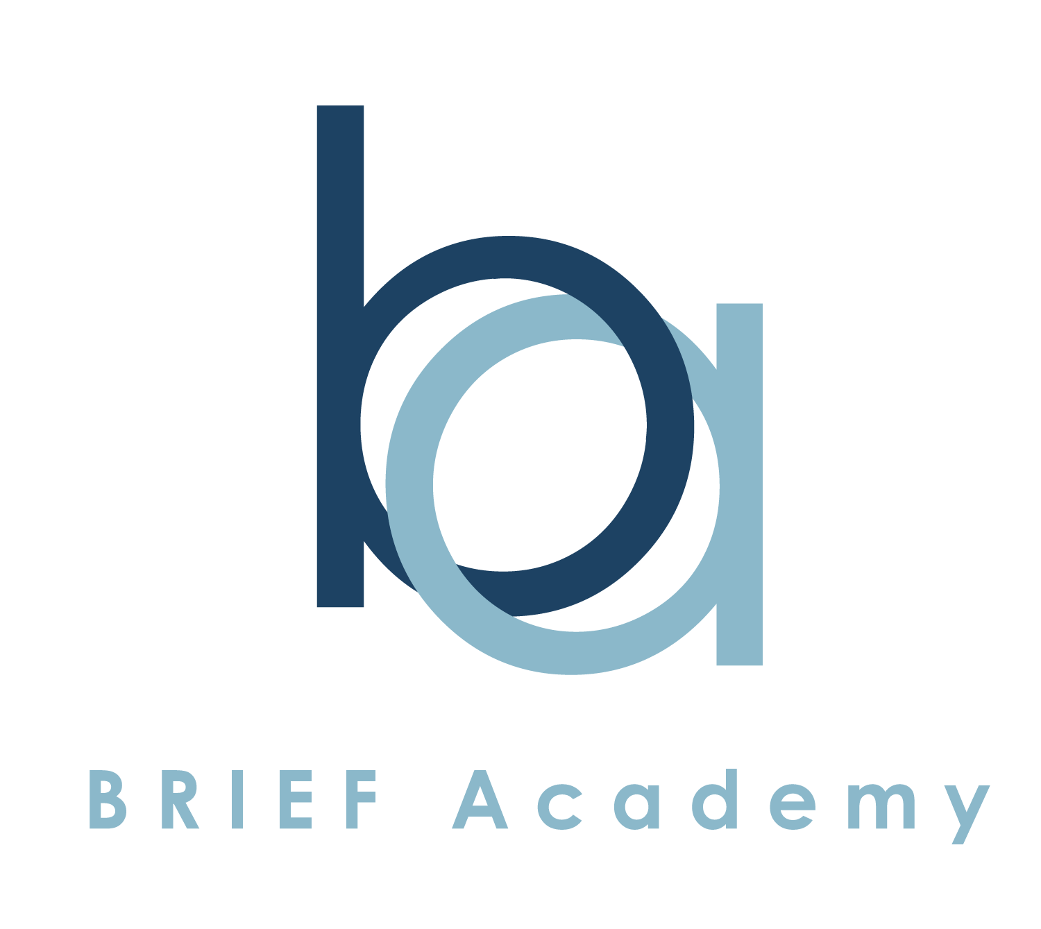 Brief Academy