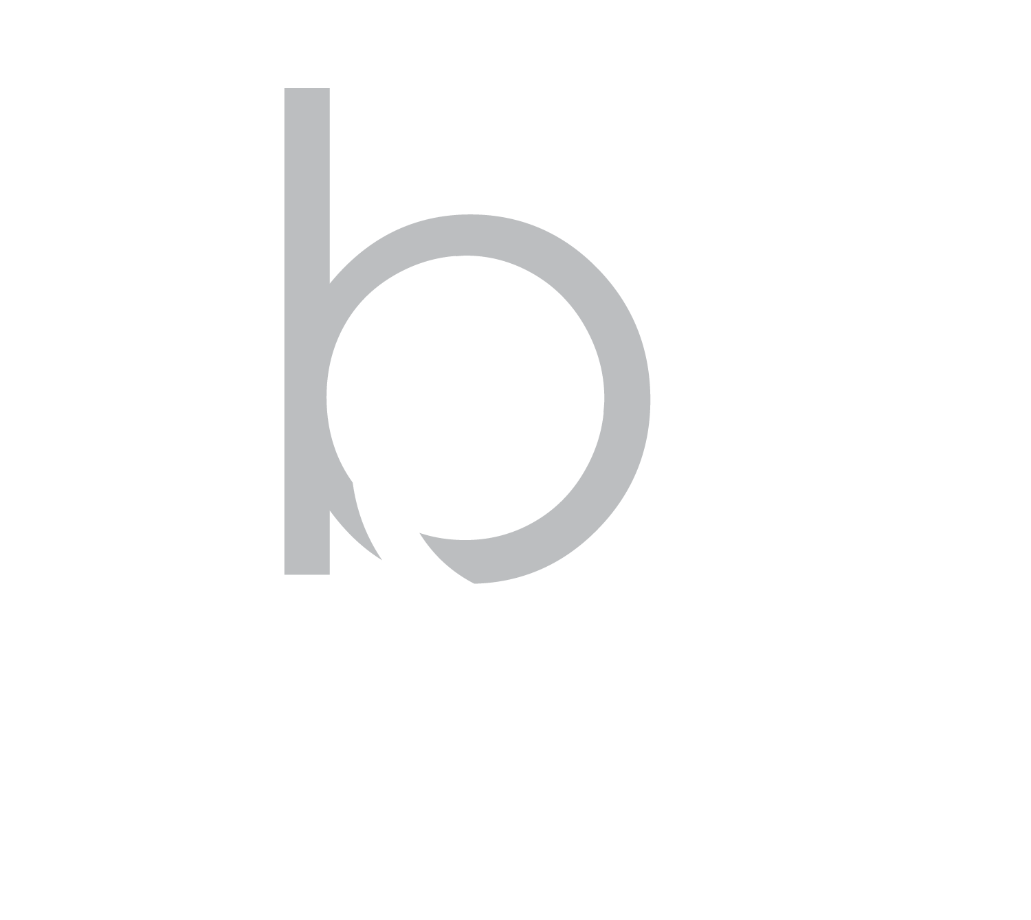 brief-academy-singapore-logo.png