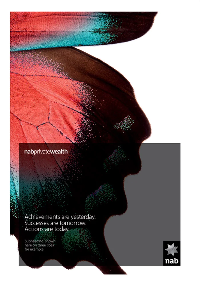 NPW_Brochures2-2 web.jpg