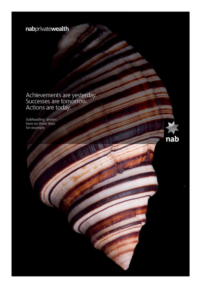NPW_Brochures3-2 web.jpg