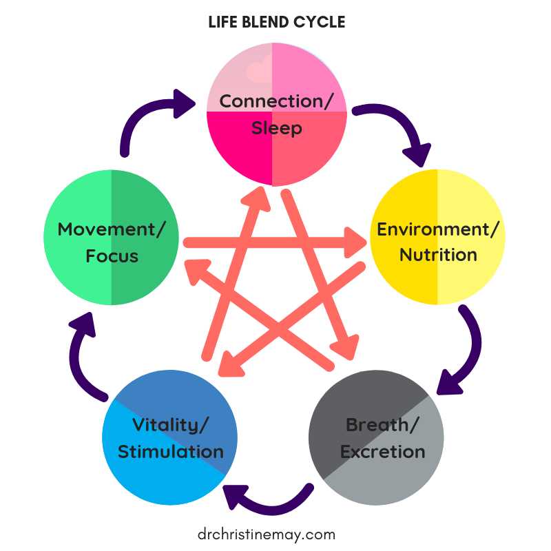 FaceWell Lifeblend Cycle Graphic.png
