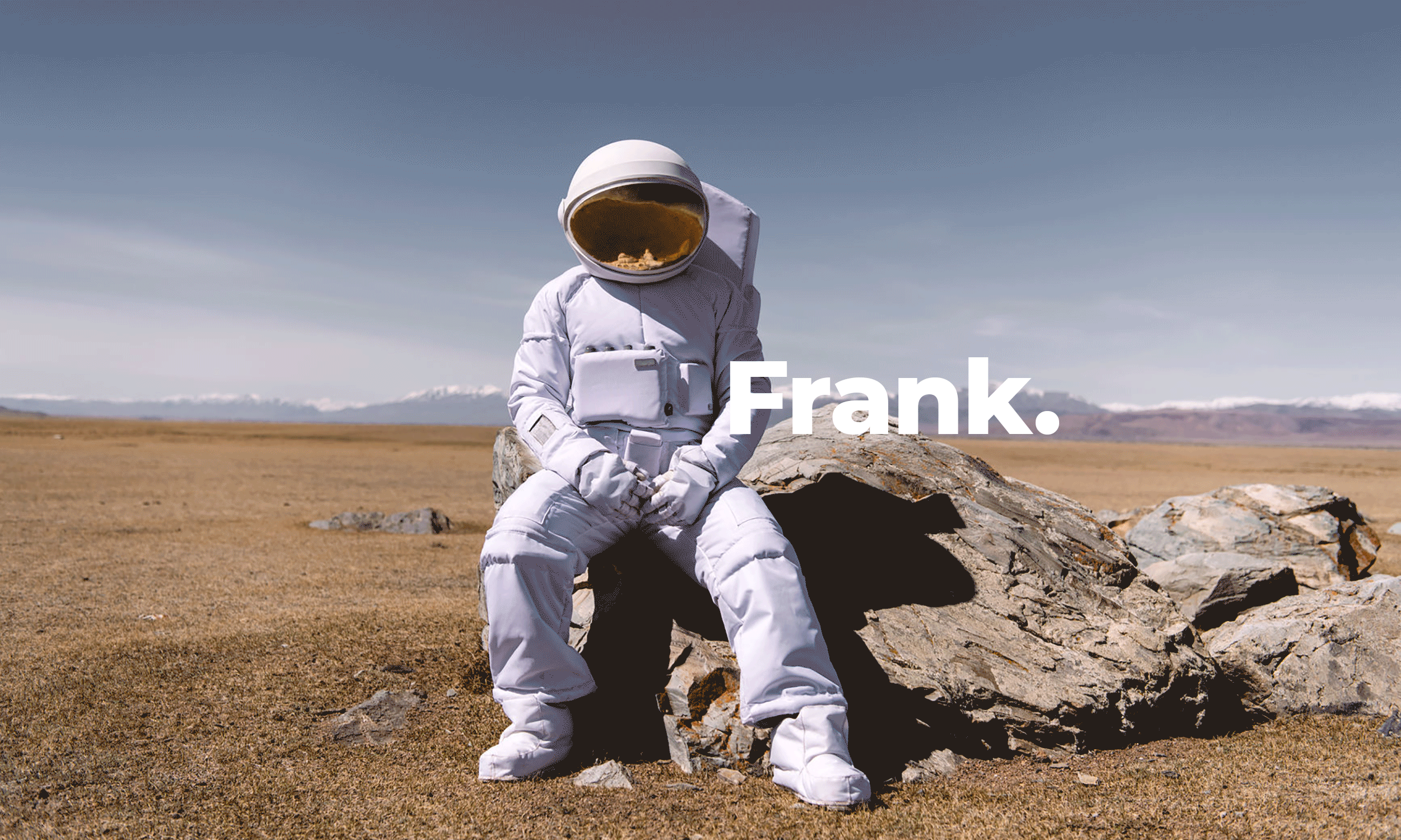 Frank-animation.gif