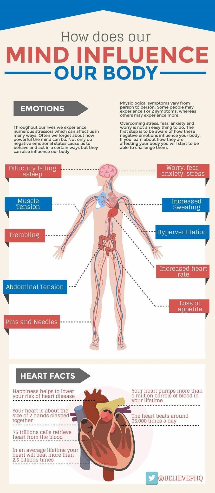 Infographic titled "How does our MIND INFLUENCE OUR BODY" showing how emotions affect the body with labeled illustrations of human body parts and related symptoms such as stress, tension, and increased heart rate, along with heart facts.