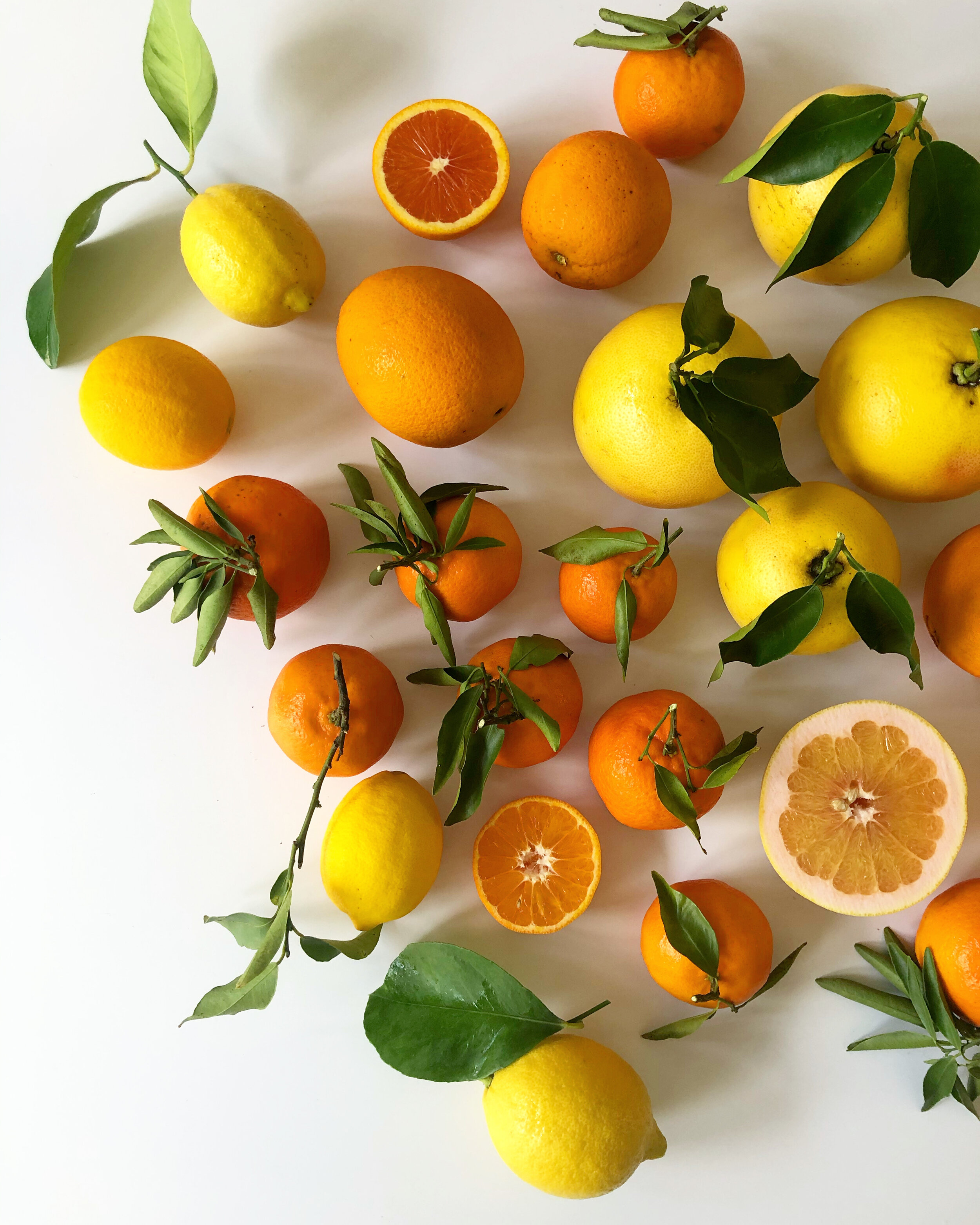 tuttifruttiallcitrus.jpeg