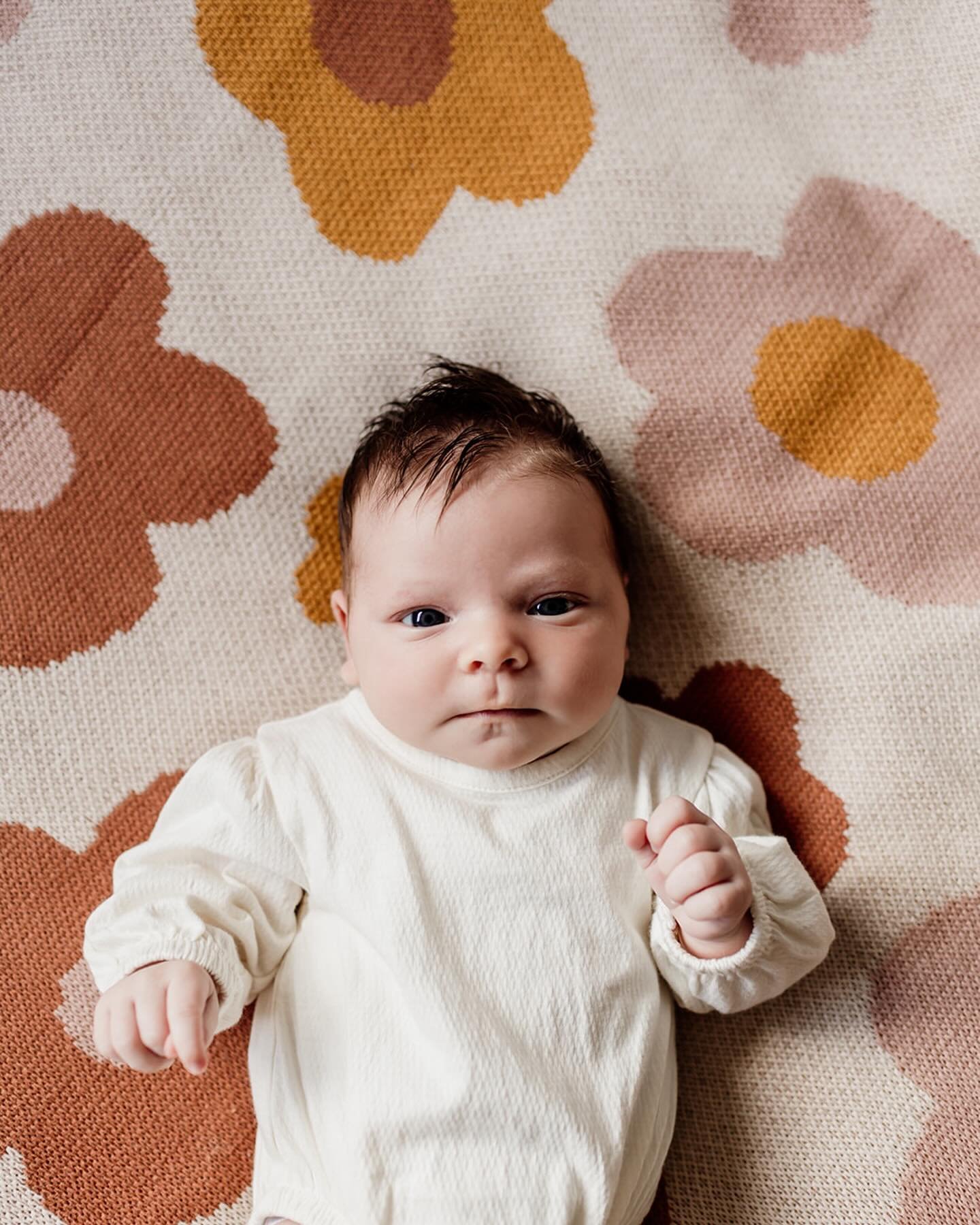 In home newborn sessions are becoming a fav session of mine and this session proves why!