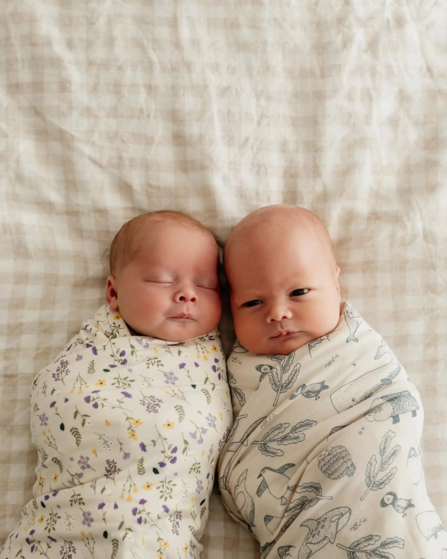 Newborn perfection x2!
Always a pleasure to catch up with the Alldis Family!