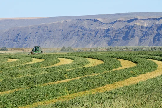 field_harvest.jpg