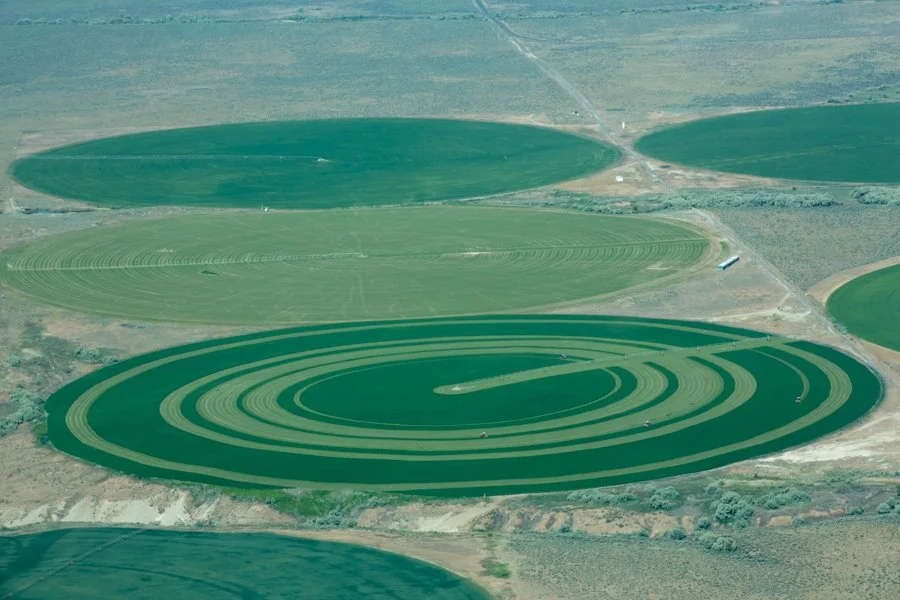 August 2026 Crop Update