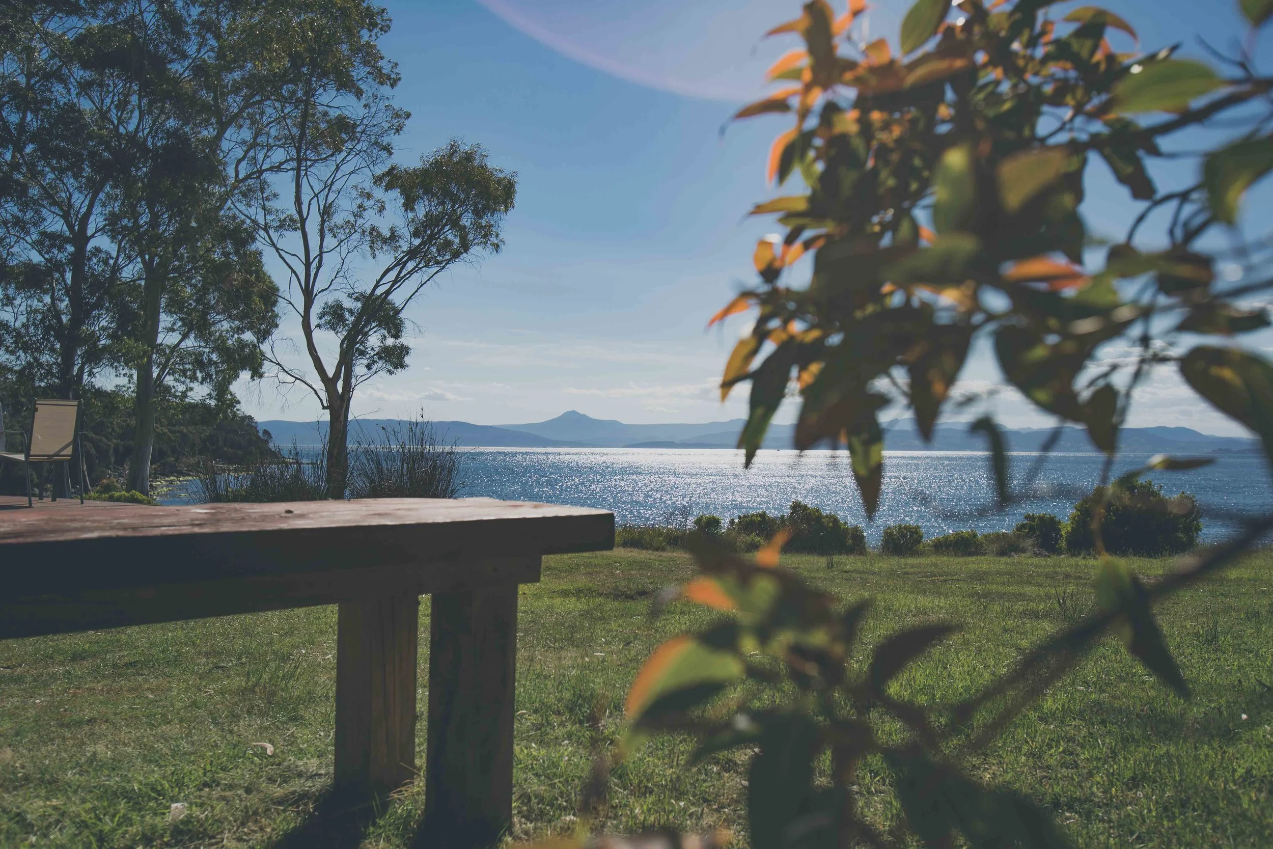 Bruny Lightroomed Pics (149 of 402).jpg