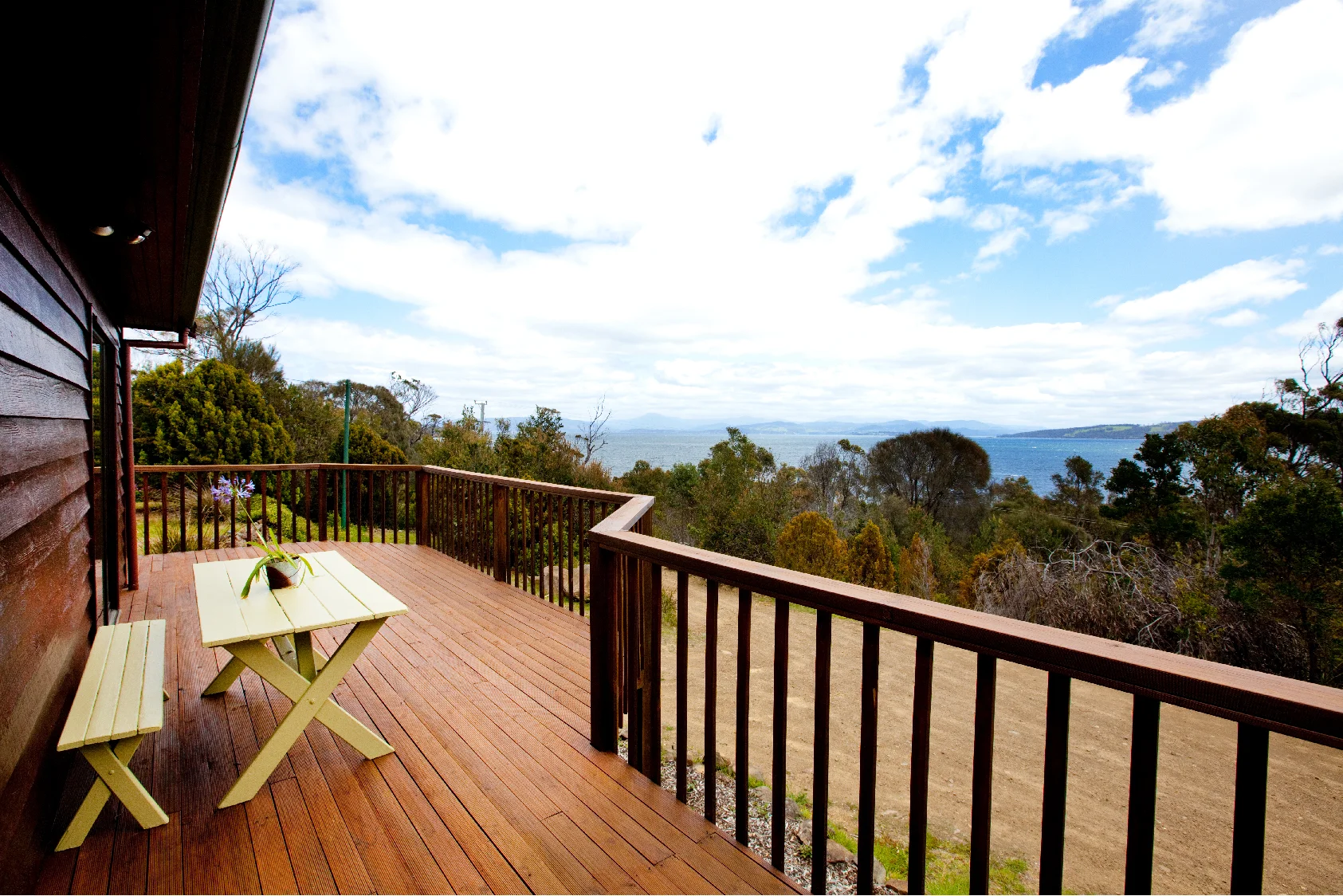 oystercatcher_Artboard 14.jpg