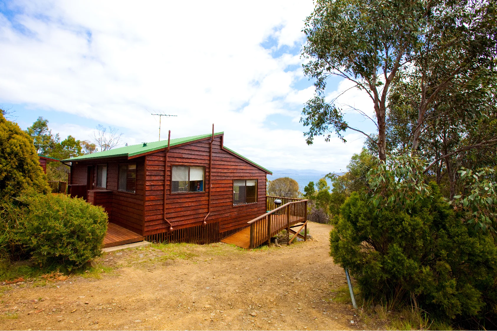 oystercatcher_Artboard 15.jpg