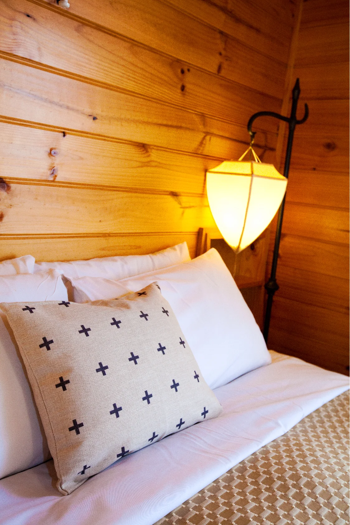 oystercatcher_Artboard 17.jpg