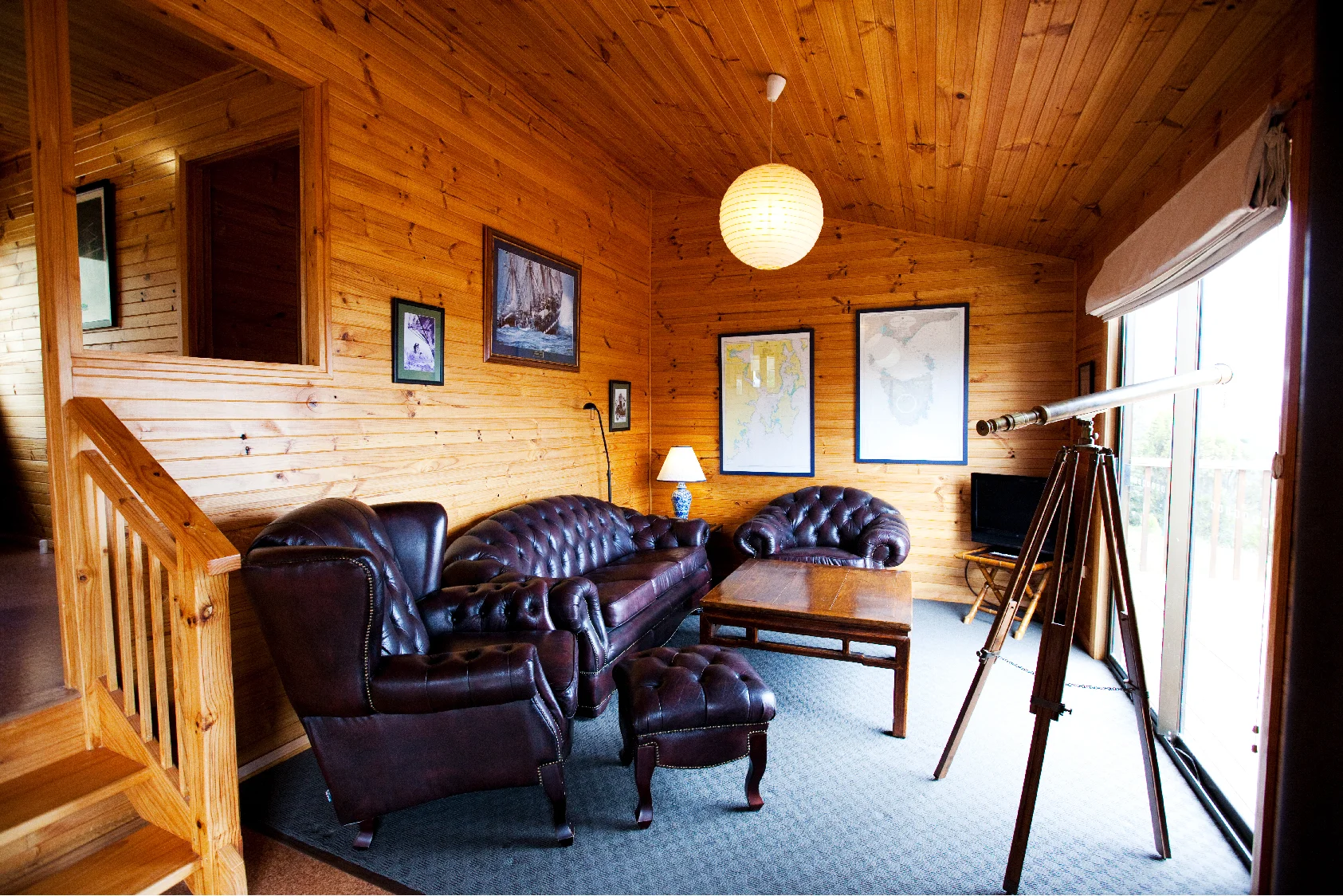 oystercatcher_Artboard 18.jpg