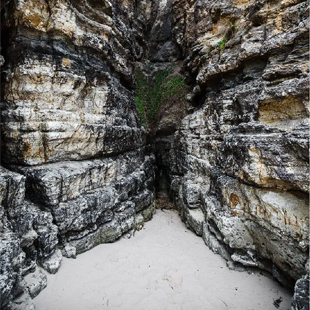 🐧 🐦 🐤 Last Wednesday's colourful character was a Scarlet Robin - Petroica multicolor 🐧 🐦 🐤
.
.
#brunyislandbirds #showusyourbruny #showusyourbirds #tasmania #brunyislandtas