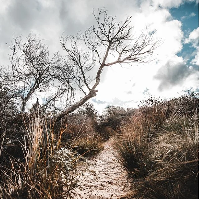 🐧 🐦 🐤 You knew last Friday's birb was a juvenile Pacific Gull - Larus pacificus - right? 🐧 🐦 🐤
.
.
#brunybirds #brunyislandtas #showusyourbruny #showusyourbirds